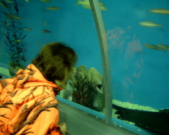 ��҂��Ό�납��B���Ă݂܂����B